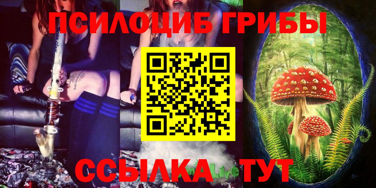 Конаково  Галлюциногенные грибы мицелий  Вход с VPN  Псилоцибиновые грибы Psilocybe 